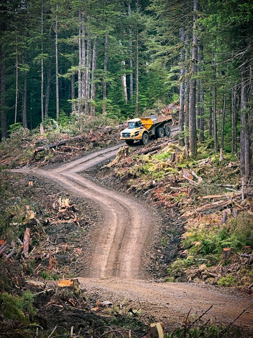 services-road-building Truck on winding dirt road through forest