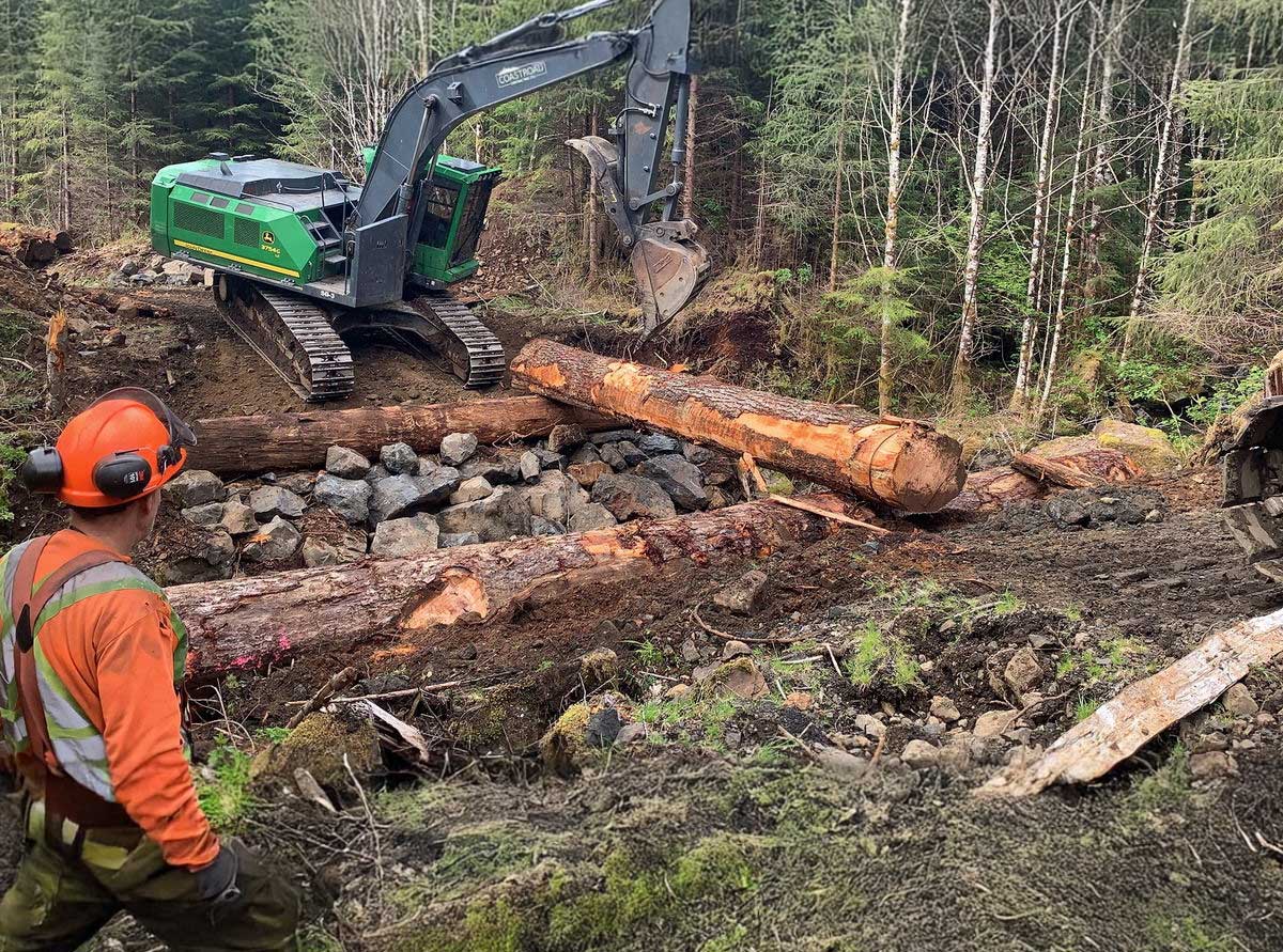 Logging equipment moving large logs